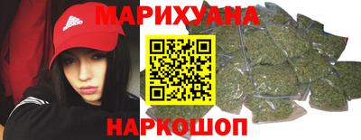 мдпв Кингисепп
